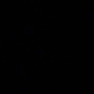 Meet your Posher, Elisa